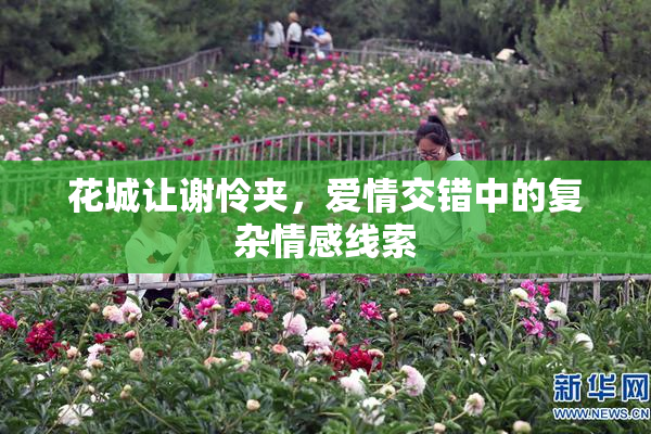 花城让谢怜夹，爱情交错中的复杂情感线索