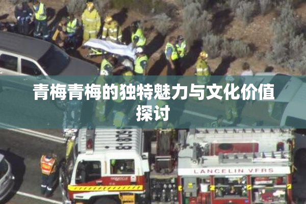 青梅青梅的独特魅力与文化价值探讨
