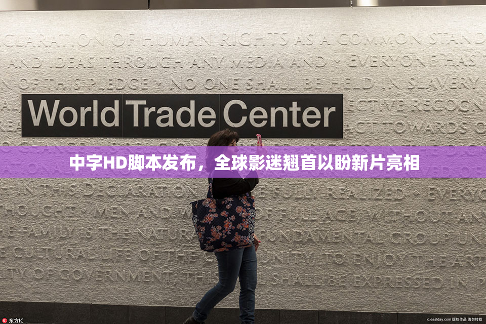 中字HD脚本发布，全球影迷翘首以盼新片亮相