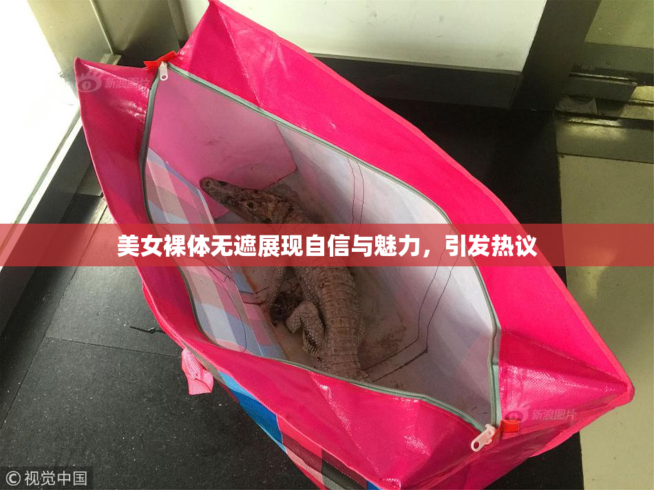 美女裸体无遮展现自信与魅力，引发热议