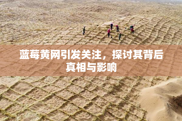 蓝莓黄网引发关注，探讨其背后真相与影响