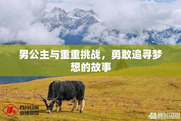 男公主与重重挑战，勇敢追寻梦想的故事