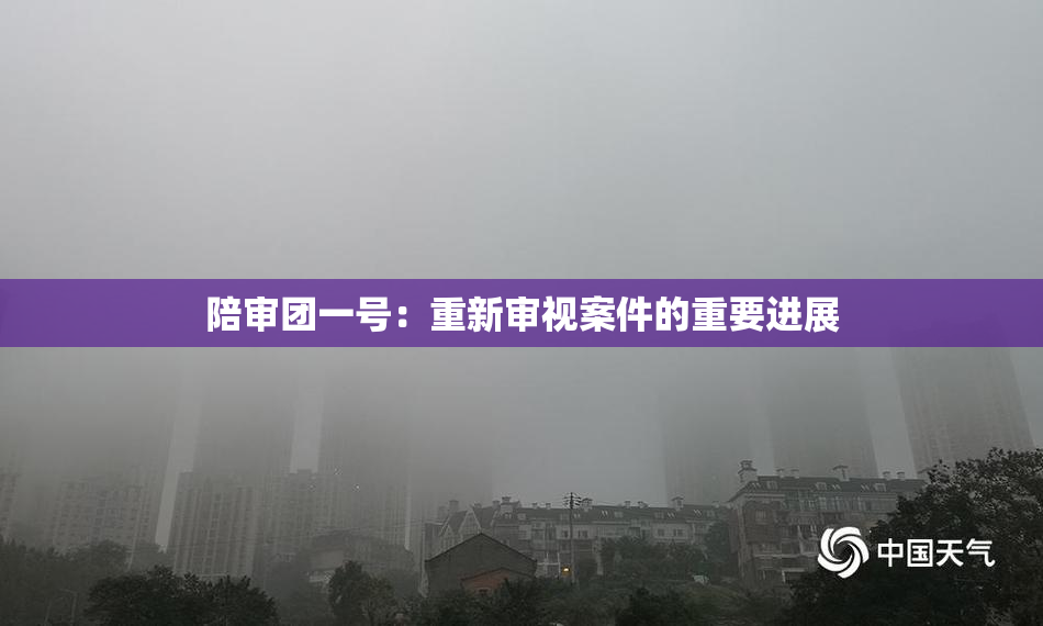 陪审团一号：重新审视案件的重要进展