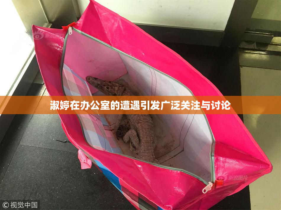 淑婷在办公室的遭遇引发广泛关注与讨论