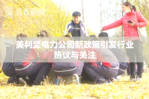 美利坚电力公司新政策引发行业热议与关注