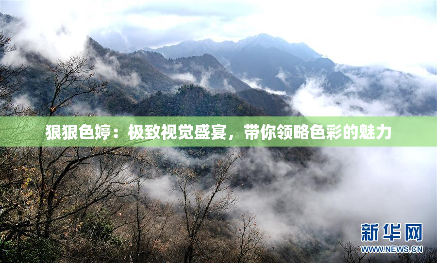狠狠色婷：极致视觉盛宴，带你领略色彩的魅力