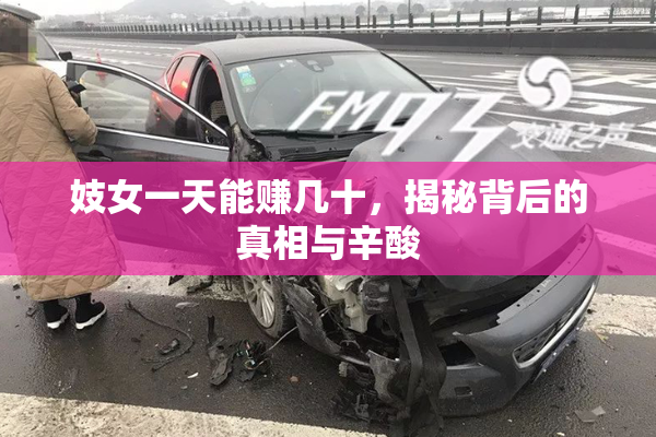 妓女一天能赚几十，揭秘背后的真相与辛酸