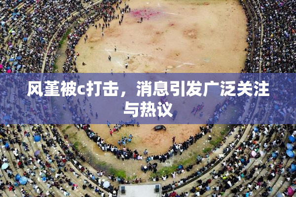 风堇被c打击，消息引发广泛关注与热议