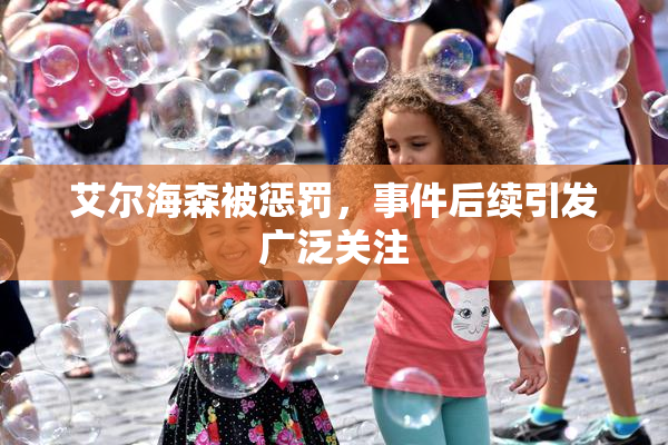 艾尔海森被惩罚，事件后续引发广泛关注