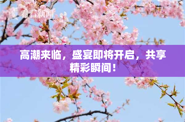 高潮来临，盛宴即将开启，共享精彩瞬间！