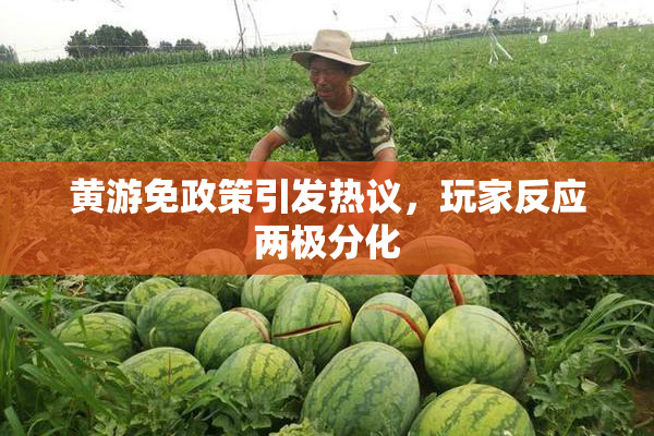 黄游免政策引发热议，玩家反应两极分化