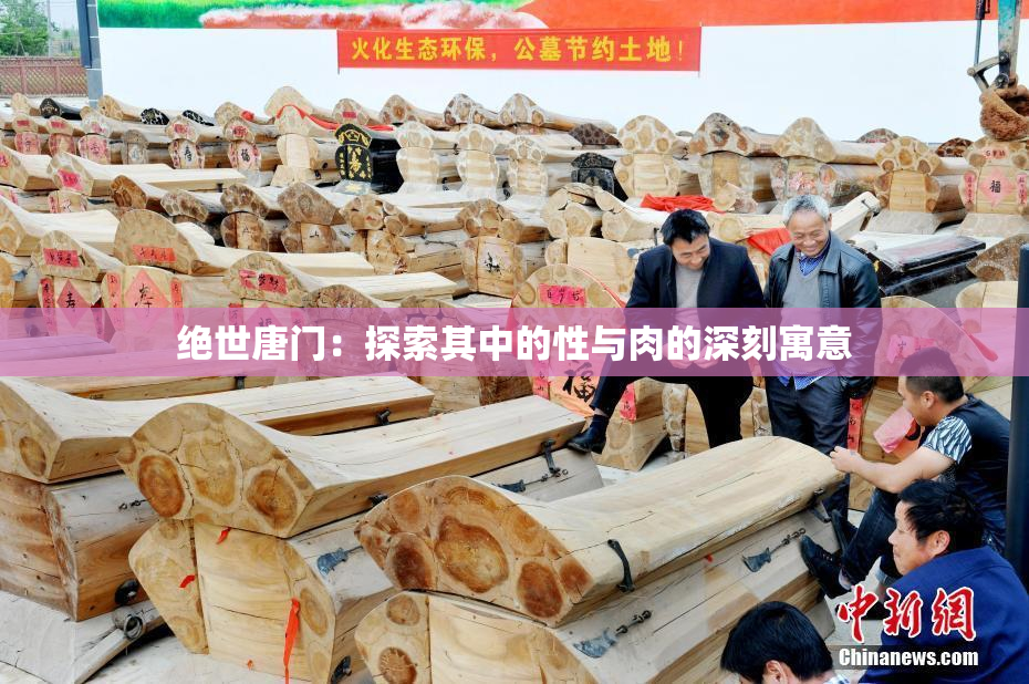 绝世唐门：探索其中的性与肉的深刻寓意