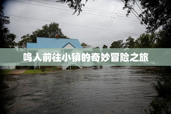 鸣人前往小镇的奇妙冒险之旅