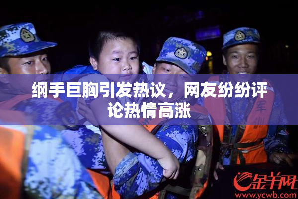 纲手巨胸引发热议，网友纷纷评论热情高涨