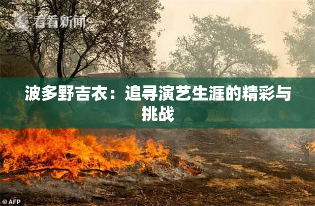 波多野吉衣：追寻演艺生涯的精彩与挑战