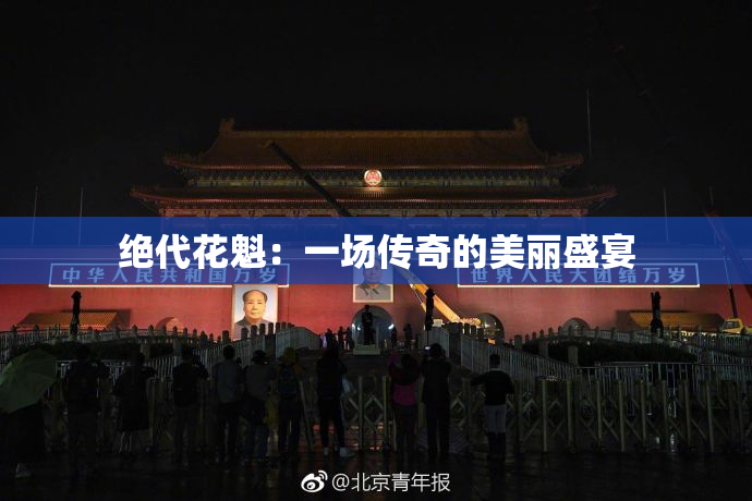 绝代花魁：一场传奇的美丽盛宴