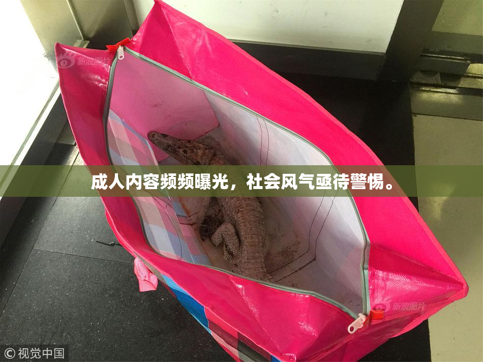 成人内容频频曝光，社会风气亟待警惕。