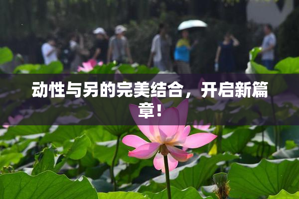 动性与另的完美结合，开启新篇章！