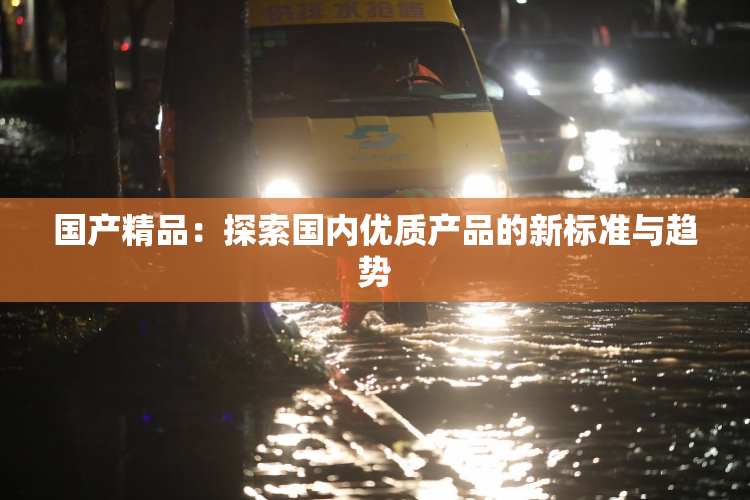 国产精品：探索国内优质产品的新标准与趋势
