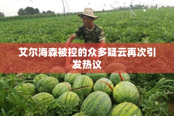 艾尔海森被控的众多疑云再次引发热议