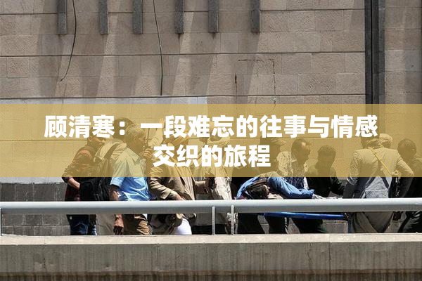 顾清寒：一段难忘的往事与情感交织的旅程