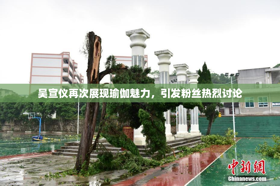吴宣仪再次展现瑜伽魅力，引发粉丝热烈讨论