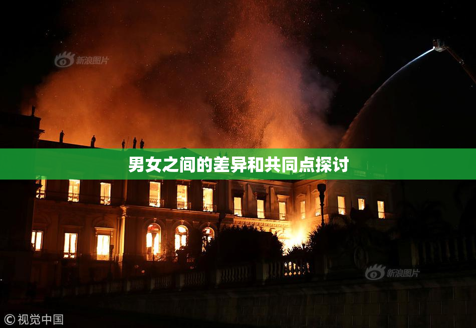 男女之间的差异和共同点探讨