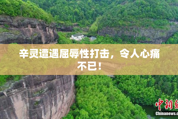 辛灵遭遇屈辱性打击，令人心痛不已！