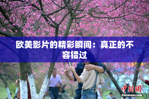 欧美影片的精彩瞬间：真正的不容错过