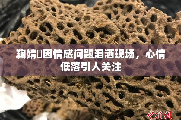 鞠婧祎因情感问题泪洒现场，心情低落引人关注