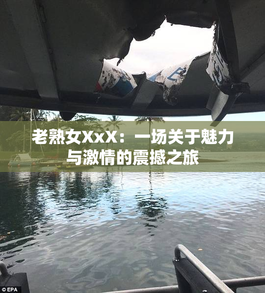 老熟女XxX：一场关于魅力与激情的震撼之旅