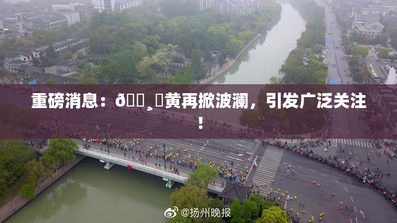 重磅消息：🌸‌黄再掀波澜，引发广泛关注！