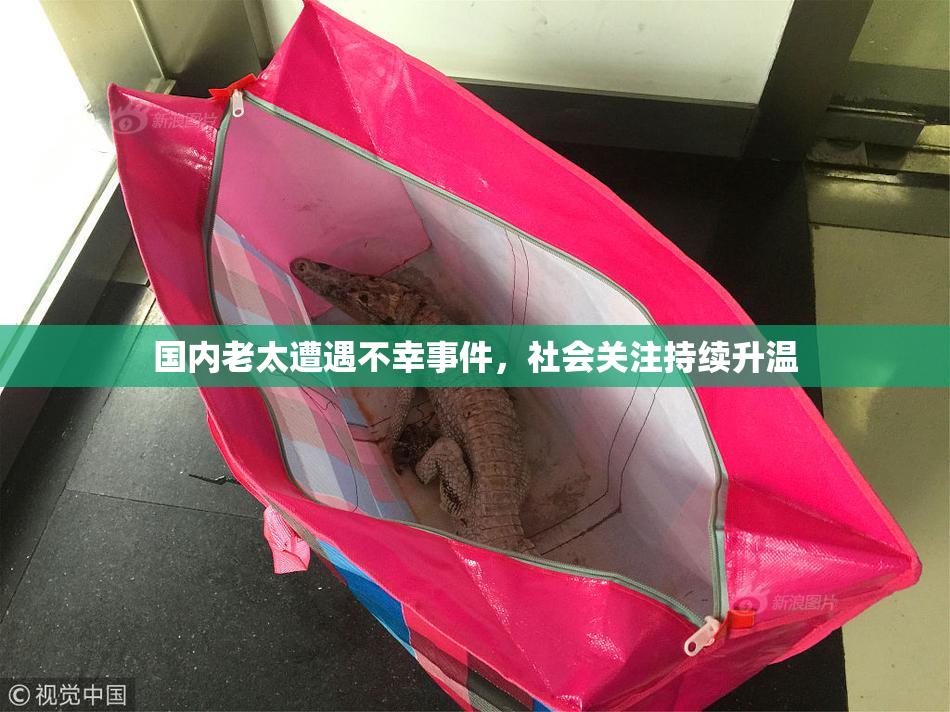 国内老太遭遇不幸事件，社会关注持续升温