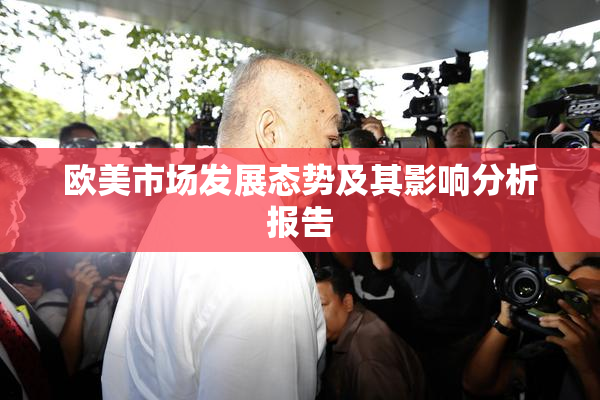 欧美市场发展态势及其影响分析报告
