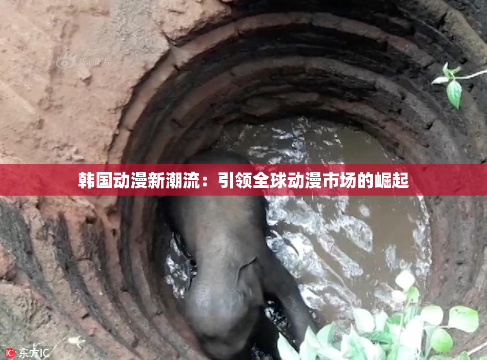 韩国动漫新潮流：引领全球动漫市场的崛起