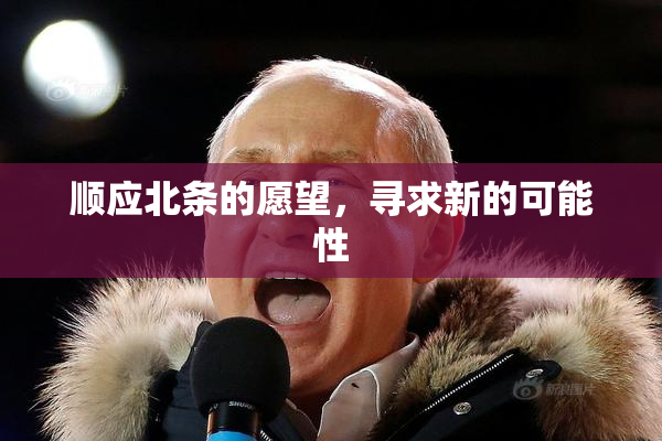 顺应北条的愿望，寻求新的可能性