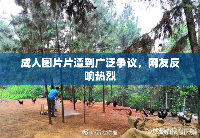 成人图片片遭到广泛争议，网友反响热烈