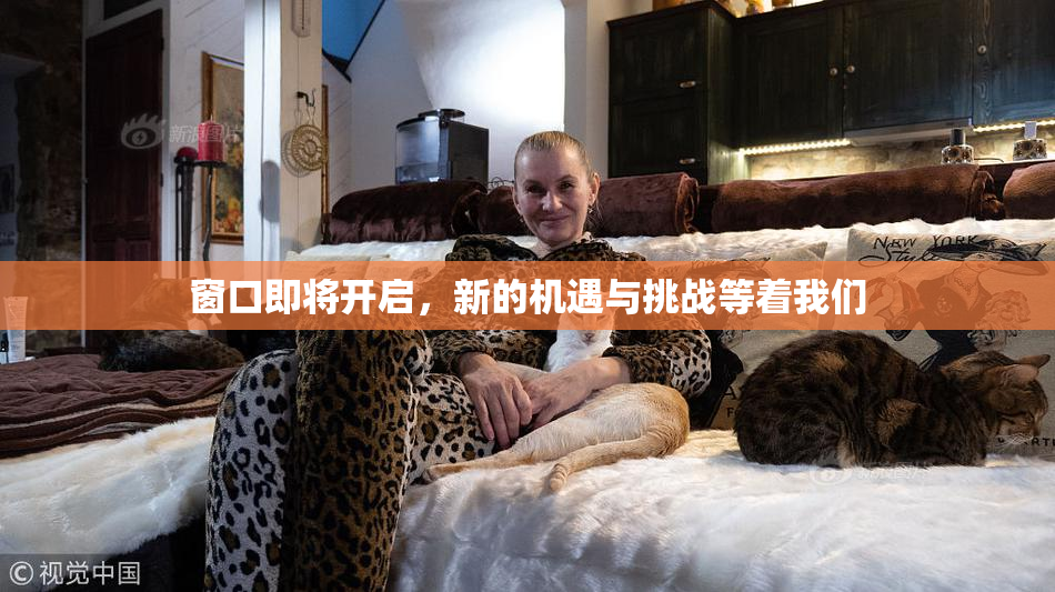 窗口即将开启，新的机遇与挑战等着我们