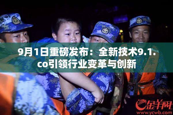 9月1日重磅发布：全新技术9.1.co引领行业变革与创新