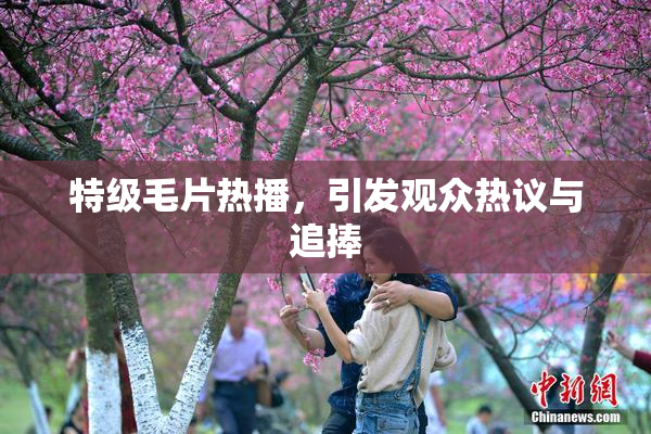 特级毛片热播，引发观众热议与追捧