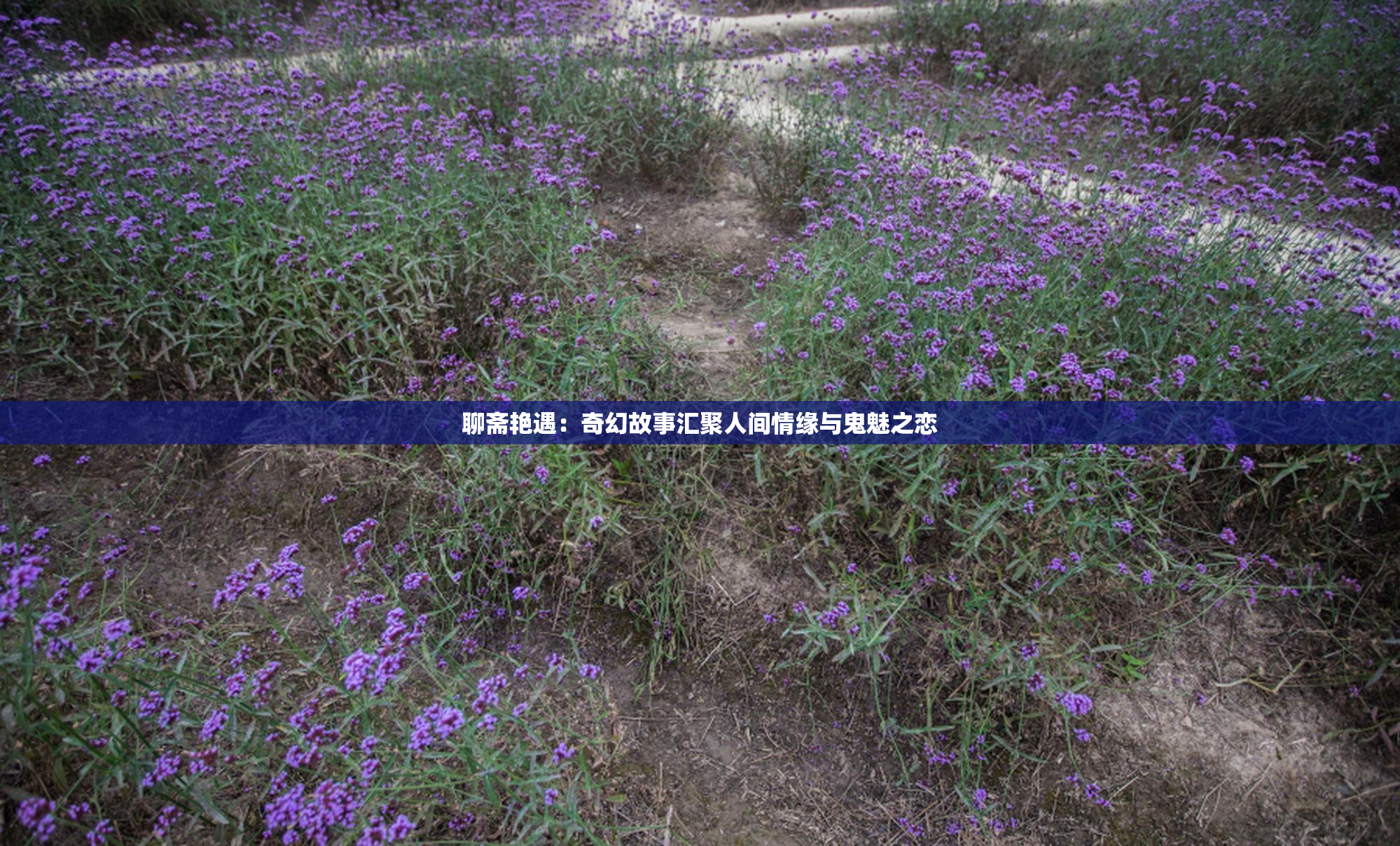 聊斋艳遇：奇幻故事汇聚人间情缘与鬼魅之恋