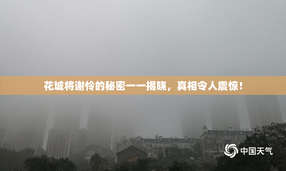 花城将谢怜的秘密一一揭晓，真相令人震惊！