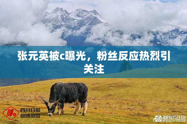 张元英被c曝光，粉丝反应热烈引关注