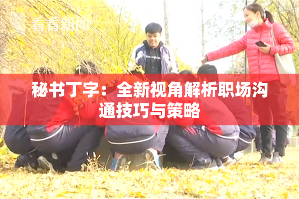 秘书丁字：全新视角解析职场沟通技巧与策略