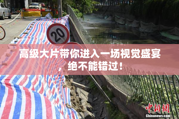 高级大片带你进入一场视觉盛宴，绝不能错过！
