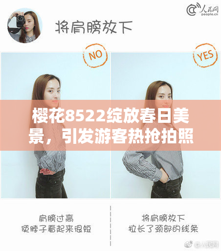 樱花8522绽放春日美景，引发游客热抢拍照潮