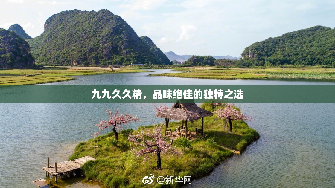 九九久久精，品味绝佳的独特之选