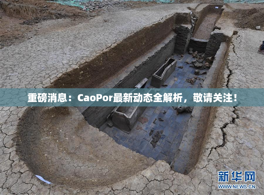 重磅消息：CaoPor最新动态全解析，敬请关注！