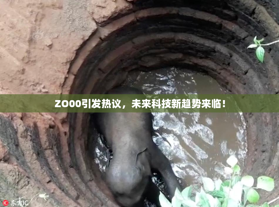 ZO00引发热议，未来科技新趋势来临！
