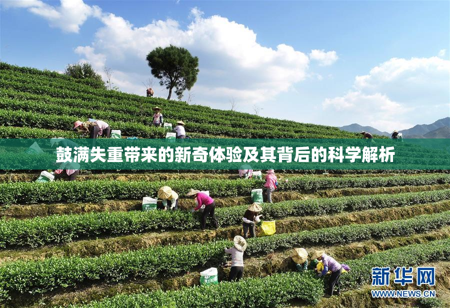 鼓满失重带来的新奇体验及其背后的科学解析